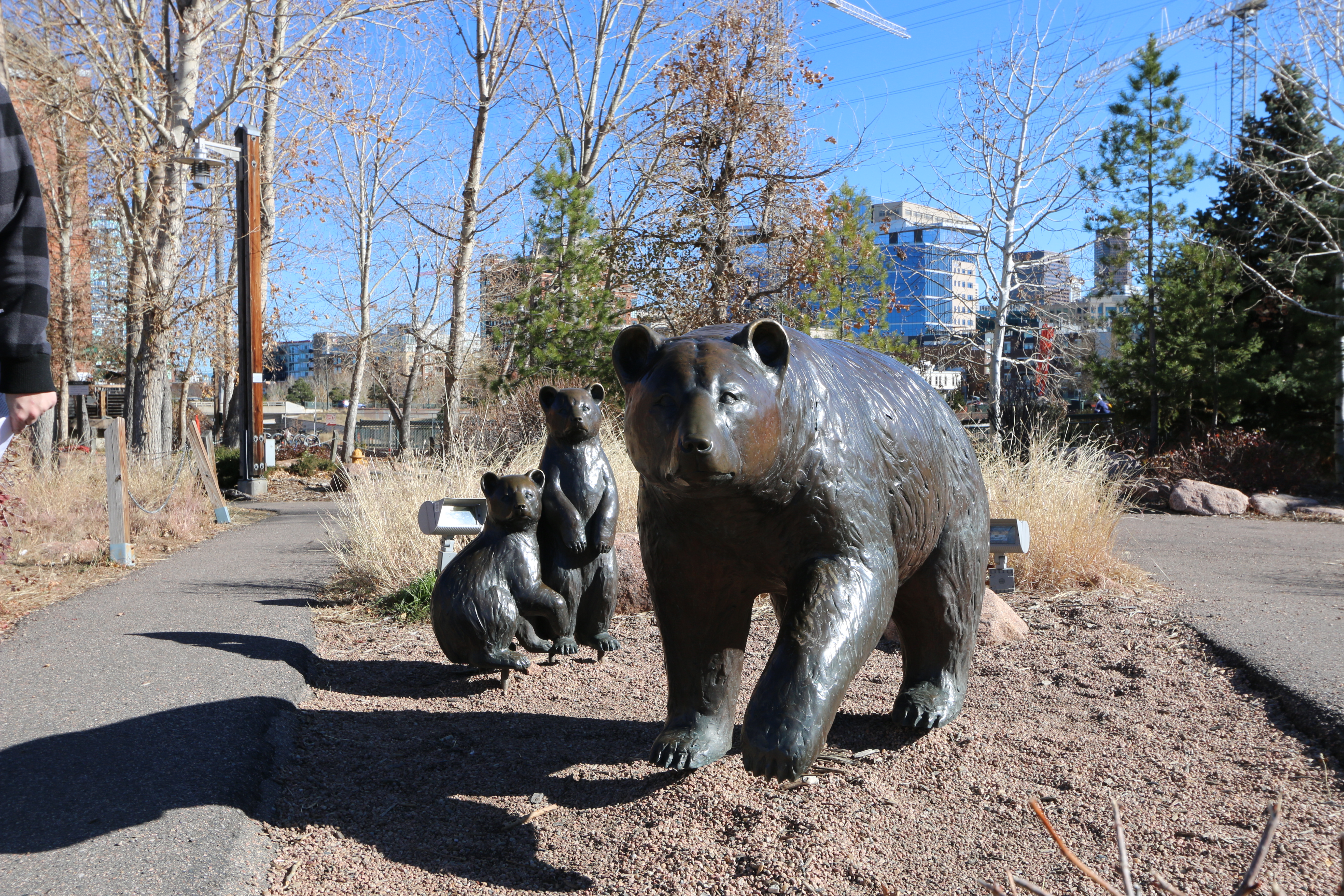 REI Bears